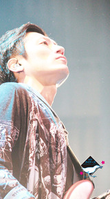 HY クイナーズ WallPaper vol.54 -信介-